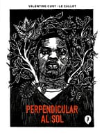 Perpendicular al sol