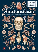 Anatomicum